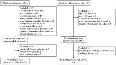 Comparable cognitive impairment was detected in MACS and CS and alleviated after remission of hypercortisolism in MACS